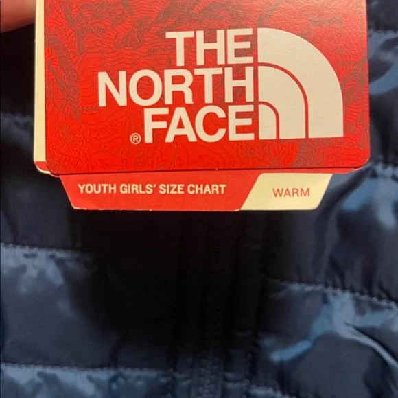The North Face Blue Wing Teal Jacket - Picture 5 of 5